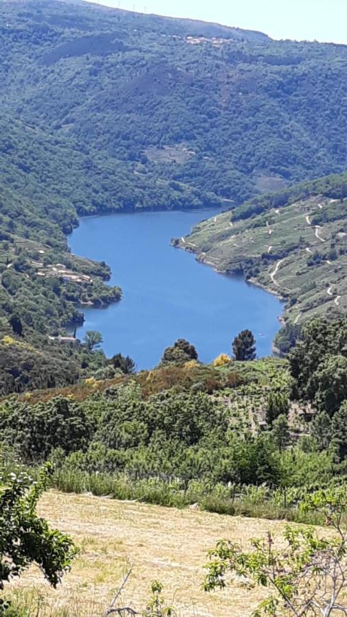 Cristosende Balcon Da Pena Da Moura 아파트 외부 사진