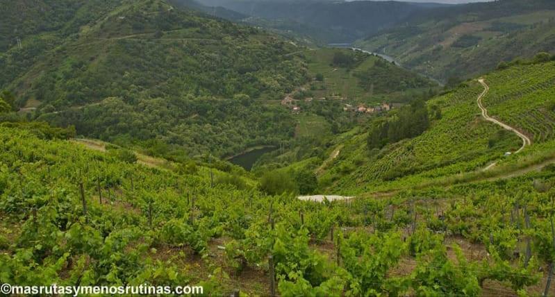 Cristosende Balcon Da Pena Da Moura 아파트 외부 사진