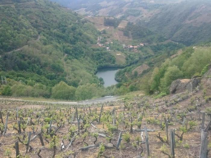 Cristosende Balcon Da Pena Da Moura 아파트 외부 사진